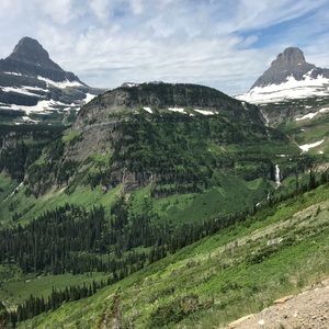 Meet your Posher, Jacoby